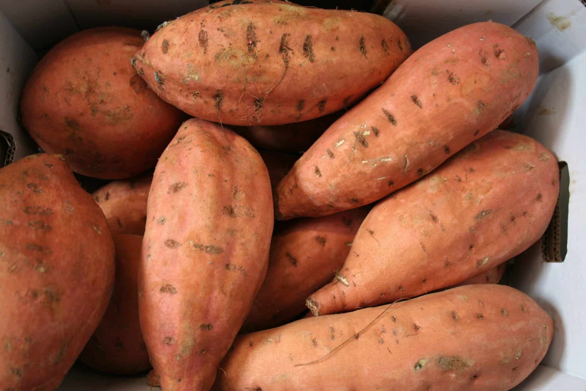 Potatoes Sweet (extralarge) Leons Fruit Shop