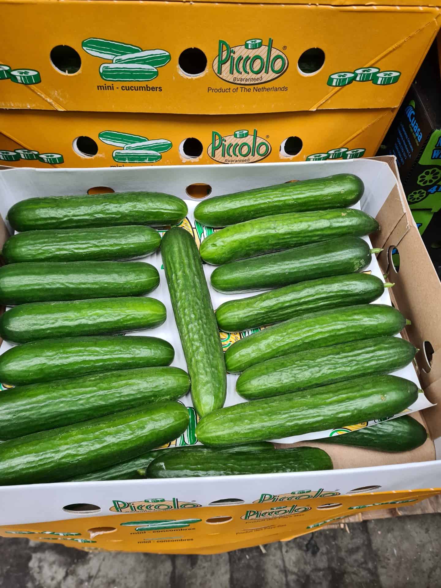 Baby Cucumbers Leons Fruit Shop