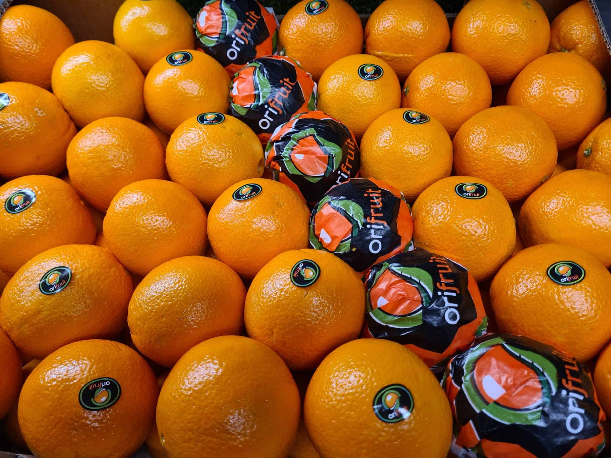 Oranges (Juicing) Leons Fruit Shop